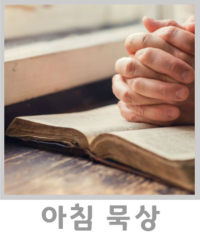 아침묵상